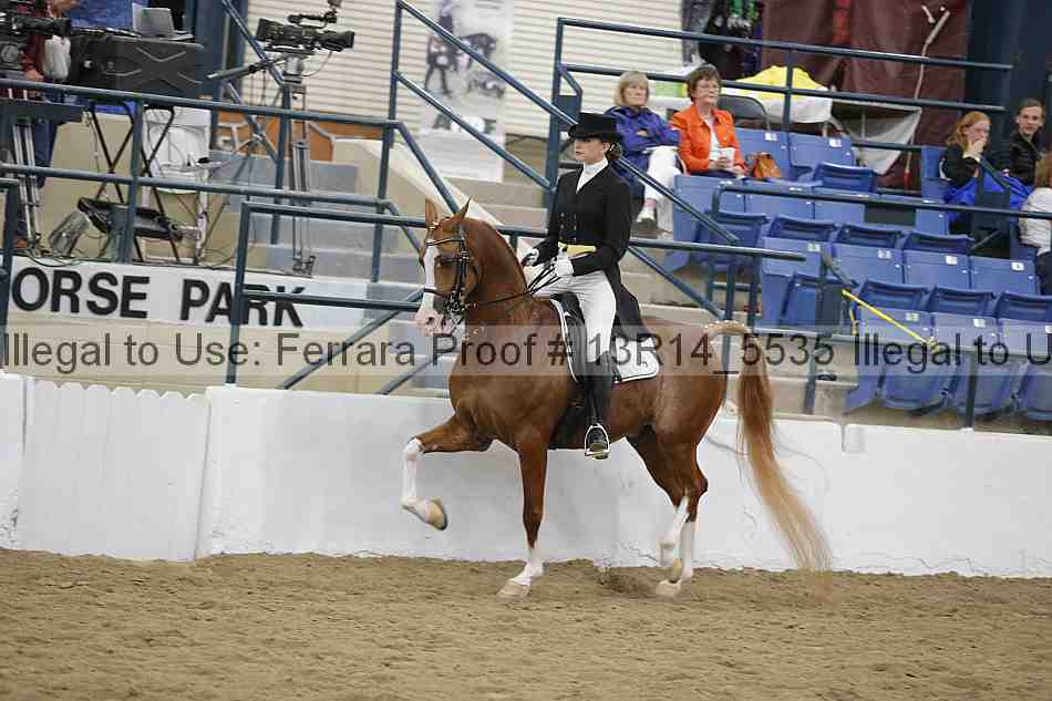 Proof 13r14_5535