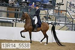 13r14_5538 proof