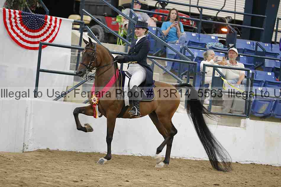 Proof 13r14_5563