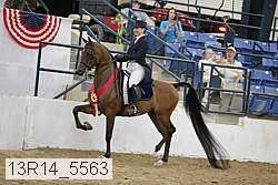 13r14_5563 proof