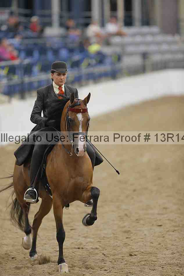 Proof 13r14_5571