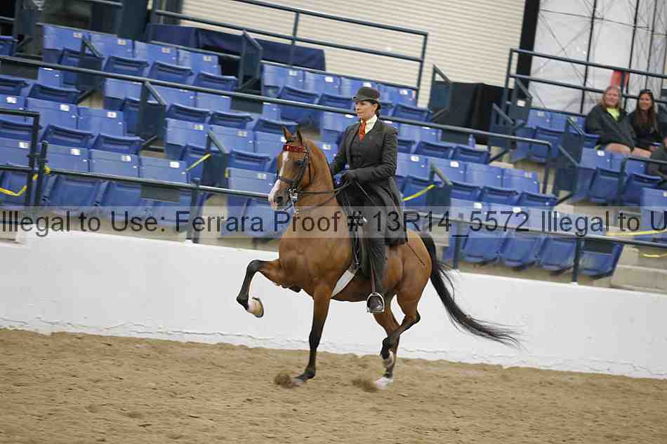 Proof 13r14_5572