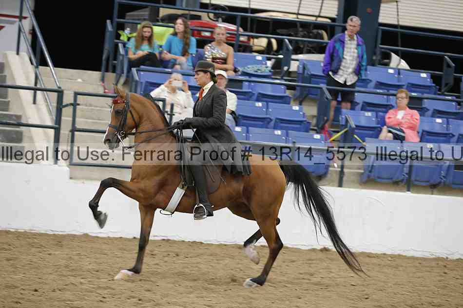 Proof 13r14_5573