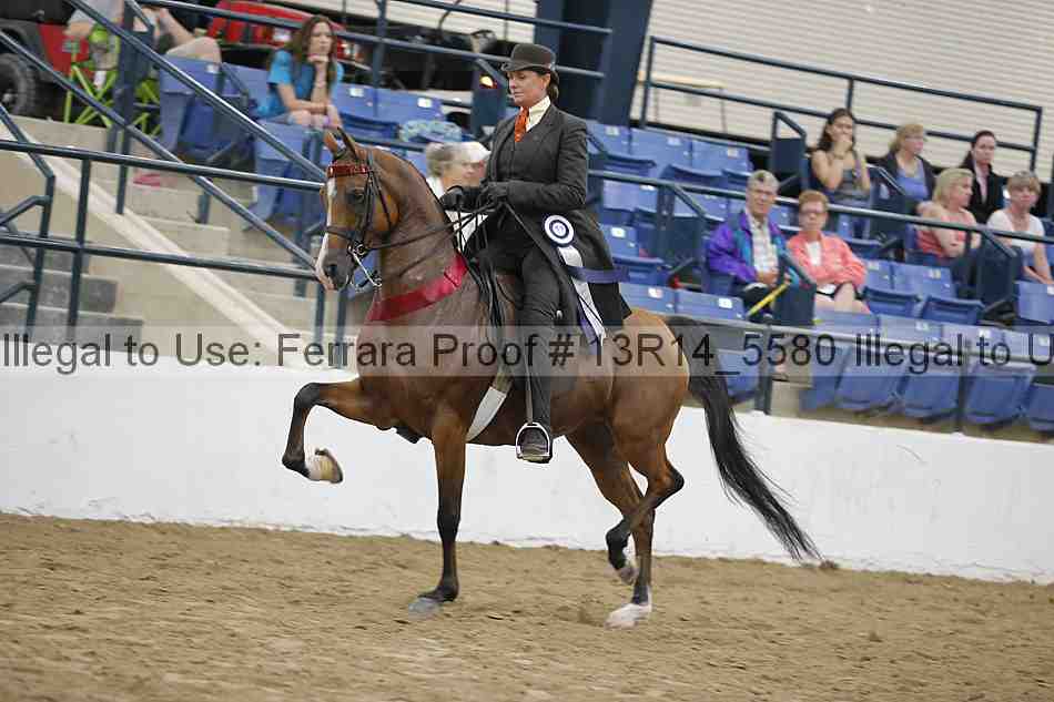 Proof 13r14_5580