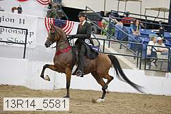13r14_5581 proof