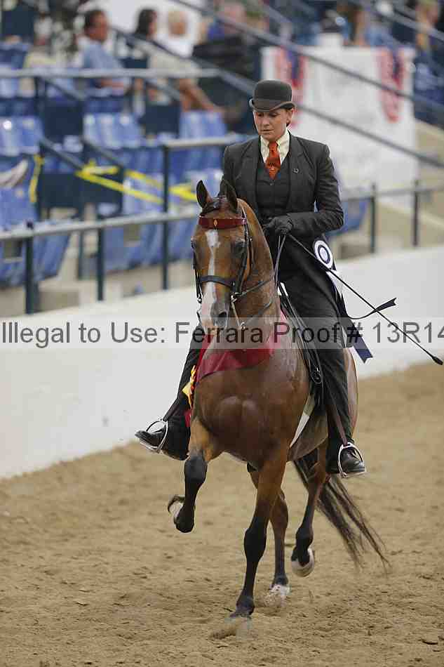 Proof 13r14_5582