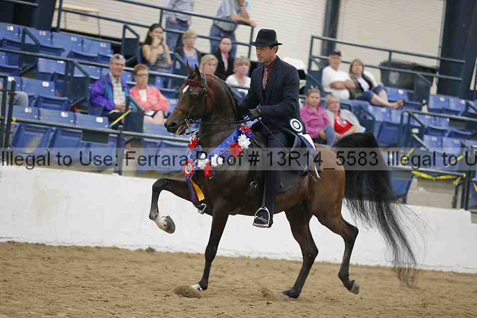 Proof 13r14_5583