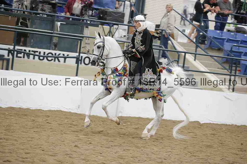 Proof 13r14_5596