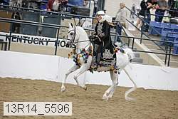 13r14_5596 proof