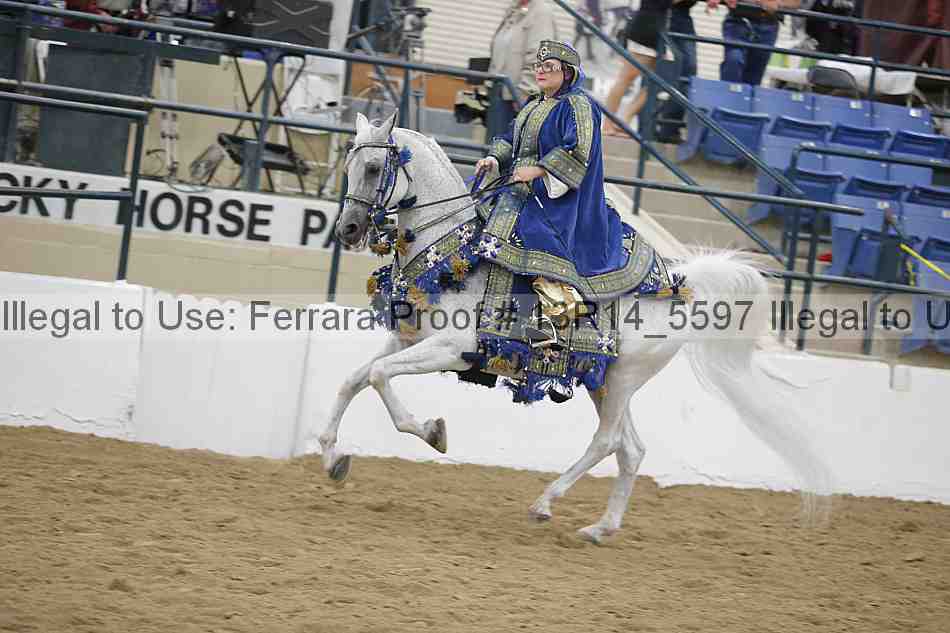 Proof 13r14_5597