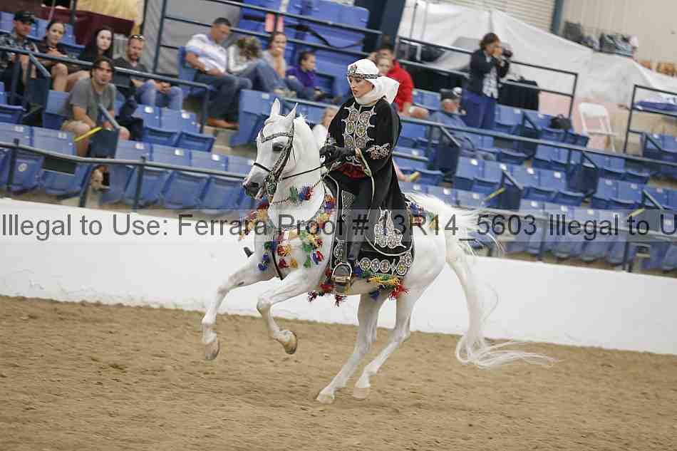 Proof 13r14_5603