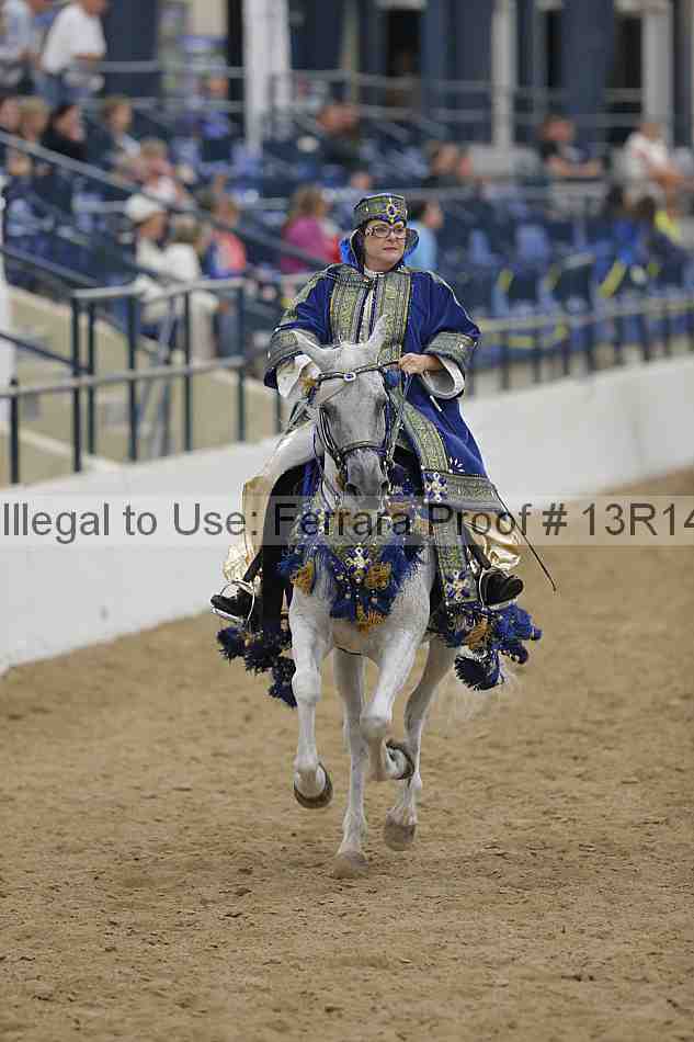 Proof 13r14_5608