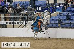 13r14_5612 proof