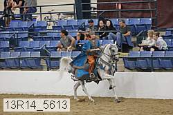 13r14_5613 proof