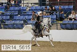 13r14_5615 proof
