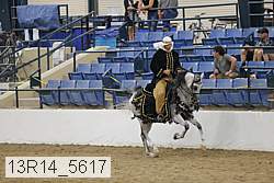 13r14_5617 proof