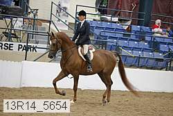 13r14_5654 proof