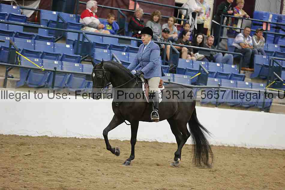 Proof 13r14_5657