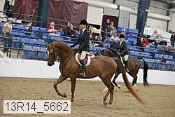 13r14_5662 proof