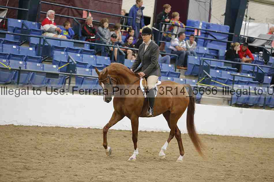 Proof 13r14_5666