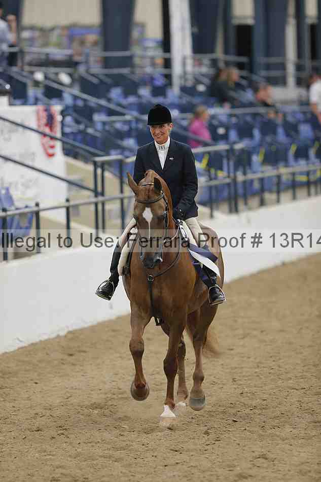 Proof 13r14_5689