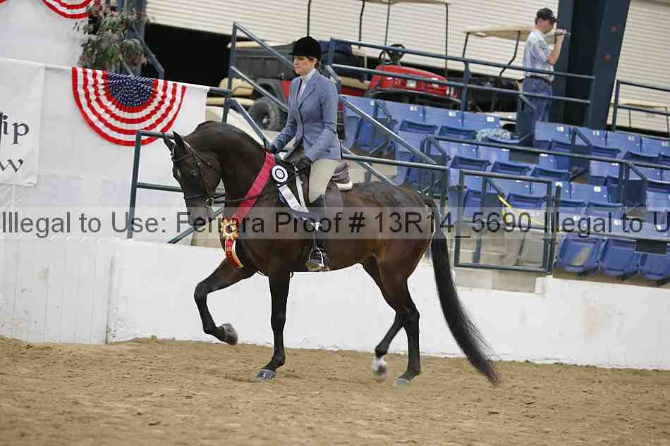 Proof 13r14_5690