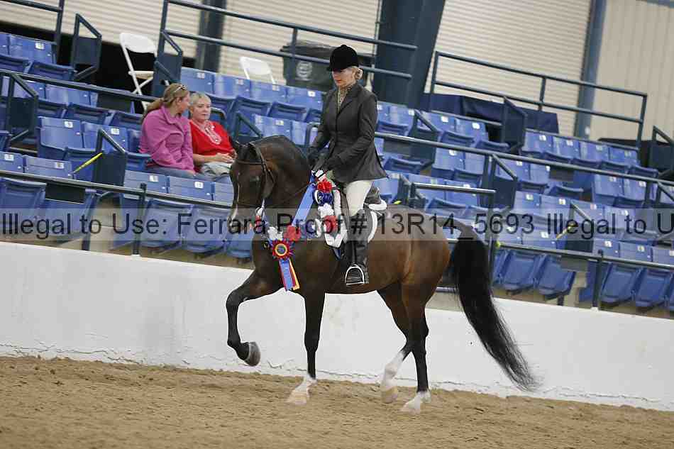 Proof 13r14_5693