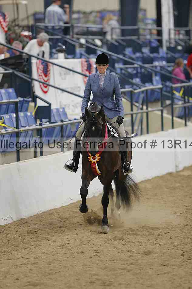 Proof 13r14_5694