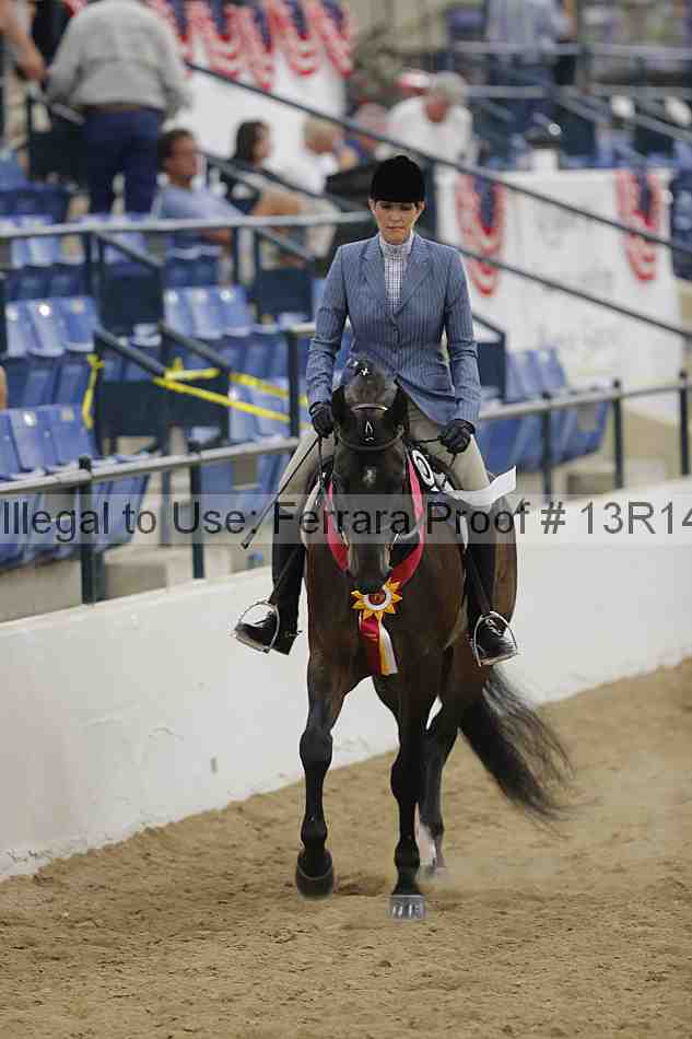 Proof 13r14_5696