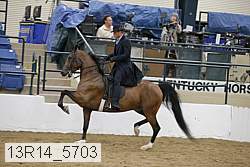 13r14_5703 proof