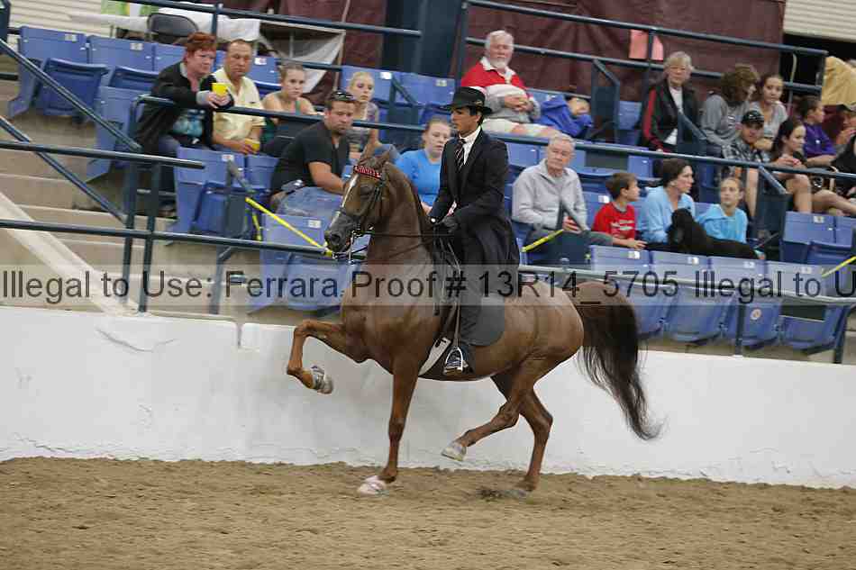 Proof 13r14_5705