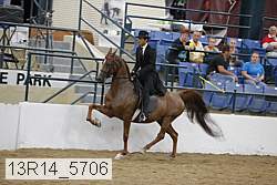 13r14_5706 proof