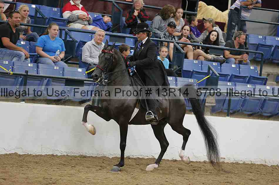 Proof 13r14_5708