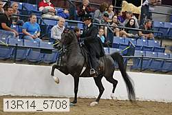 13r14_5708 proof