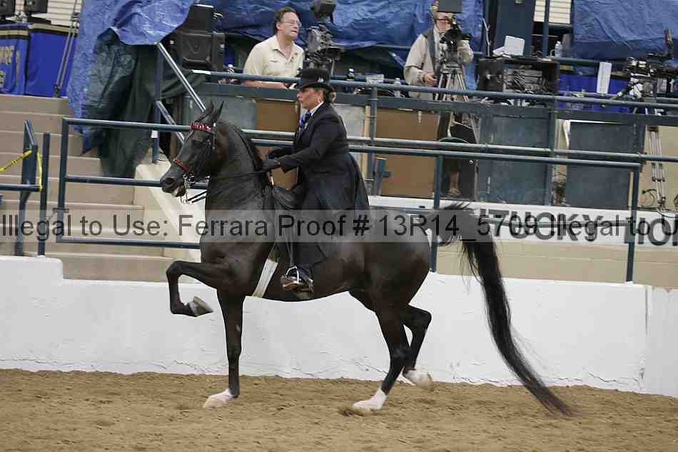 Proof 13r14_5709