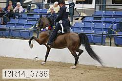 13r14_5736 proof