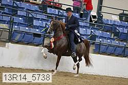 13r14_5738 proof