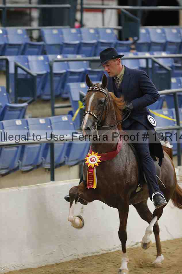 Proof 13r14_5745