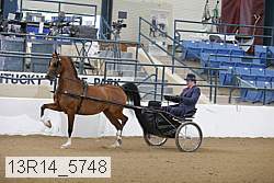 13r14_5748 proof