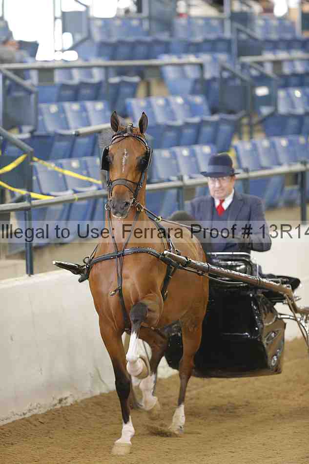 Proof 13r14_5753