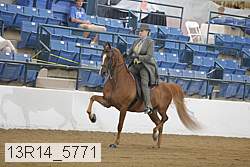13r14_5771 proof