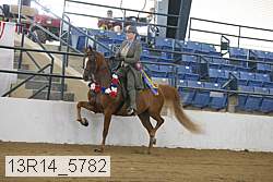 13r14_5782 proof
