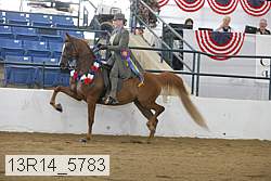 13r14_5783 proof