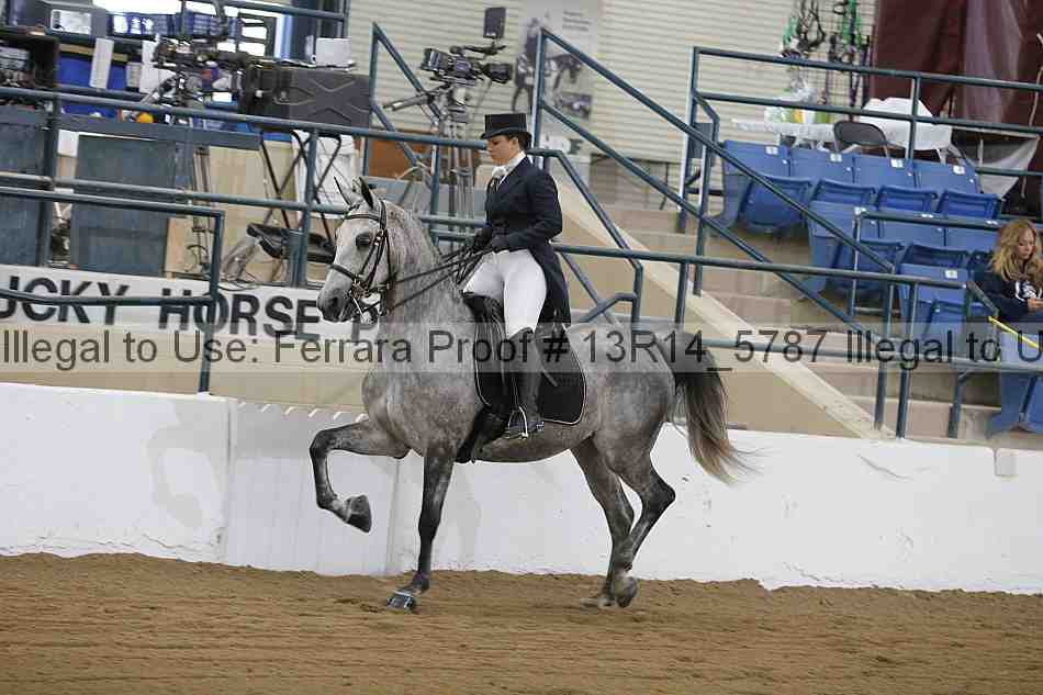 Proof 13r14_5787