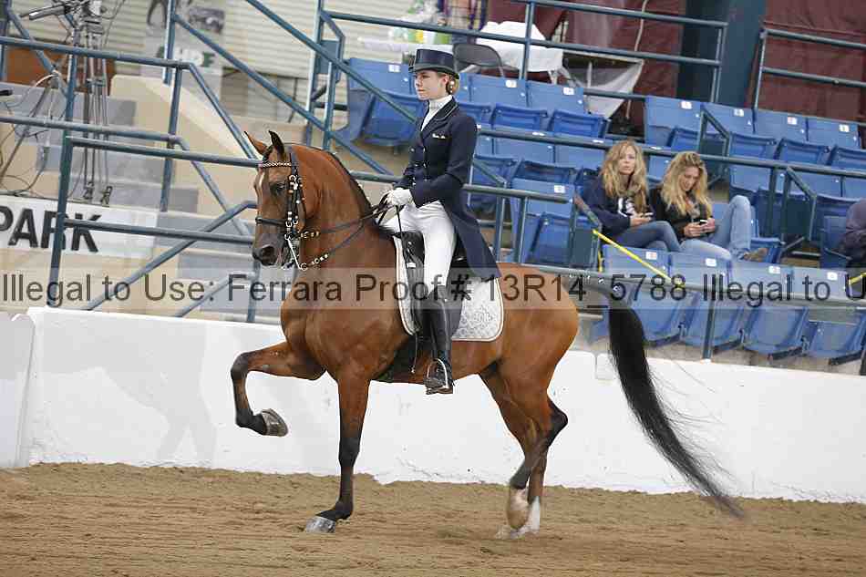Proof 13r14_5788