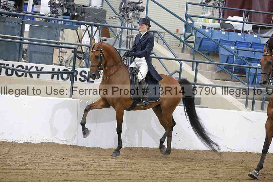 Proof 13r14_5790