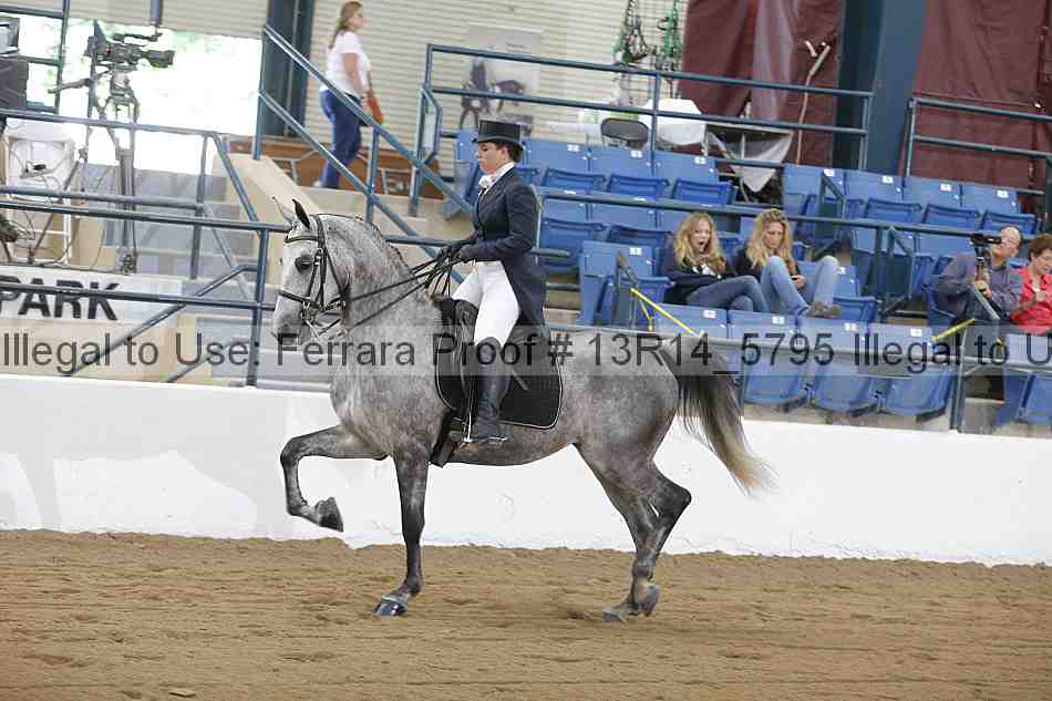 Proof 13r14_5795