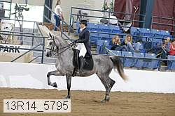13r14_5795 proof