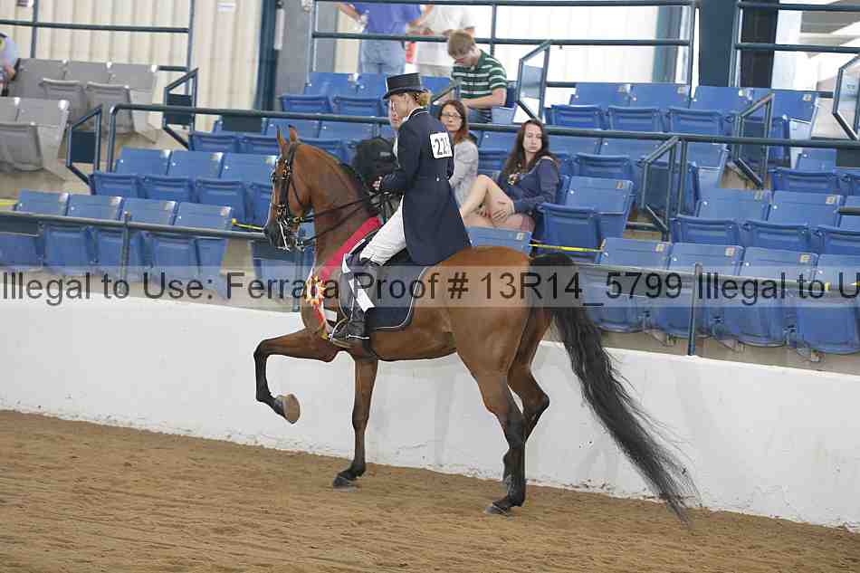 Proof 13r14_5799