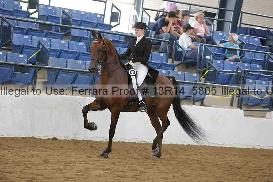 Proof 13r14_5805